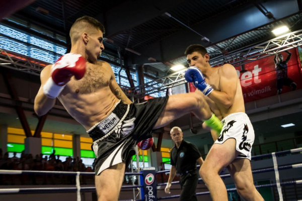 Fightland 10