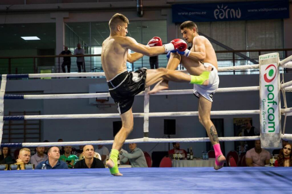 Fightland 11