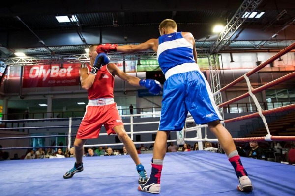 Bannov Vinogradov 26