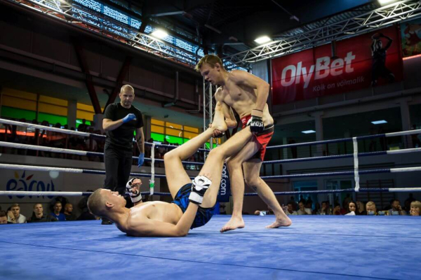 Sten Saaremäe 18