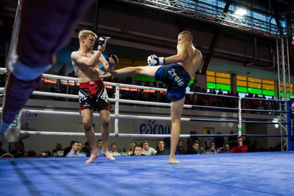 Sten Saaremäe 20