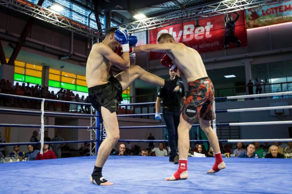 Fightland - Marko Šults 29